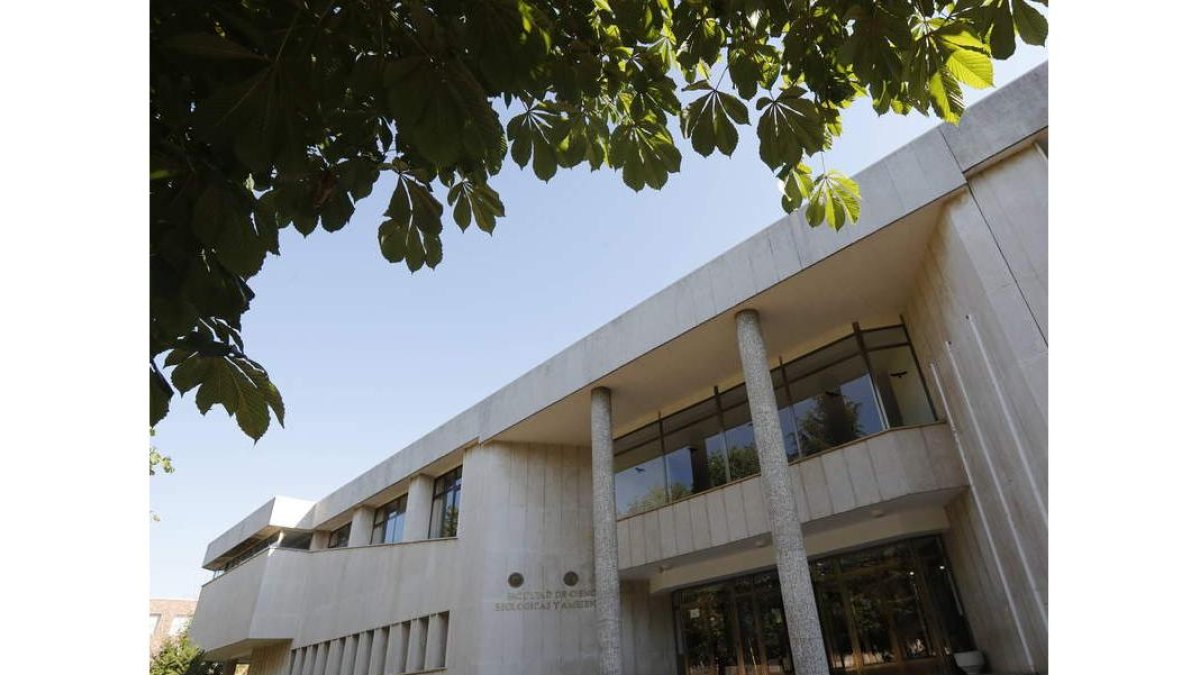 Una de las facultades del campus de Vegazana. JESÚS F. SALVADORES