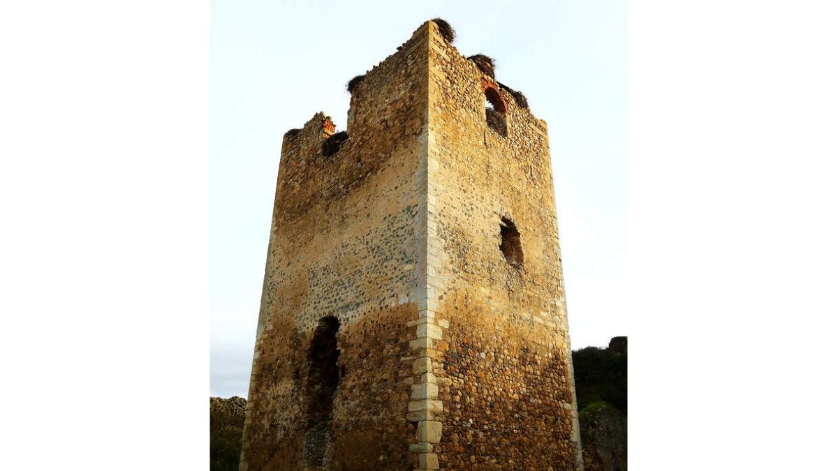 Torreón del castillo de Villapadierna, todo un ejemplo del abandono del patrimonio leonés.