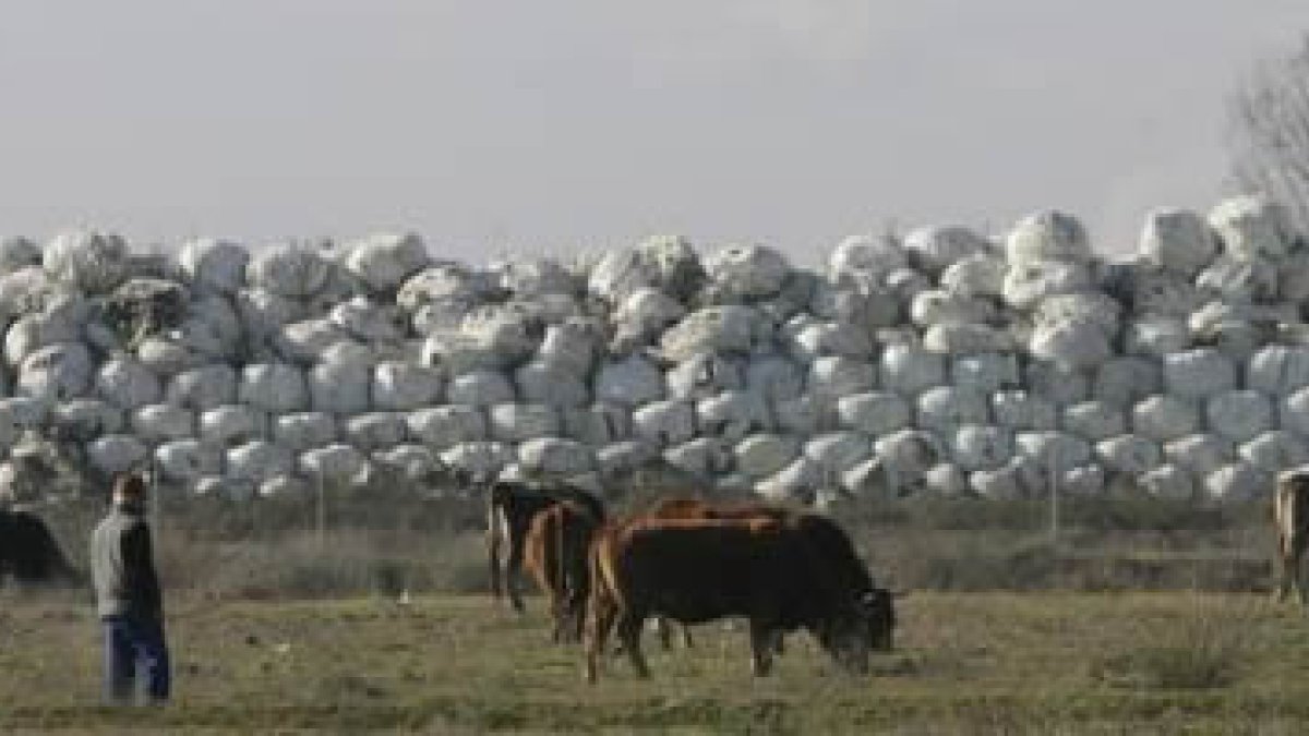 Fardos de basura acumulados en Santa María del Páramo.