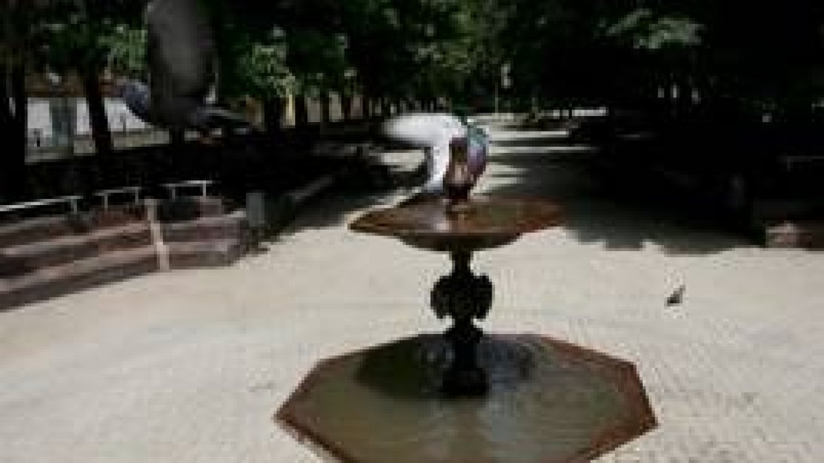 El parque ha sido reformado y ahora falta que se recuperen las zonas verdes de los laterales