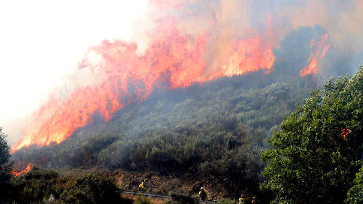 Las llamas en la carretera LE-5107 alcanzaron varios metros de altura a media tarde por encima de Trabadelo, avivadas por el fuerte viento. ANA F. BARREDO