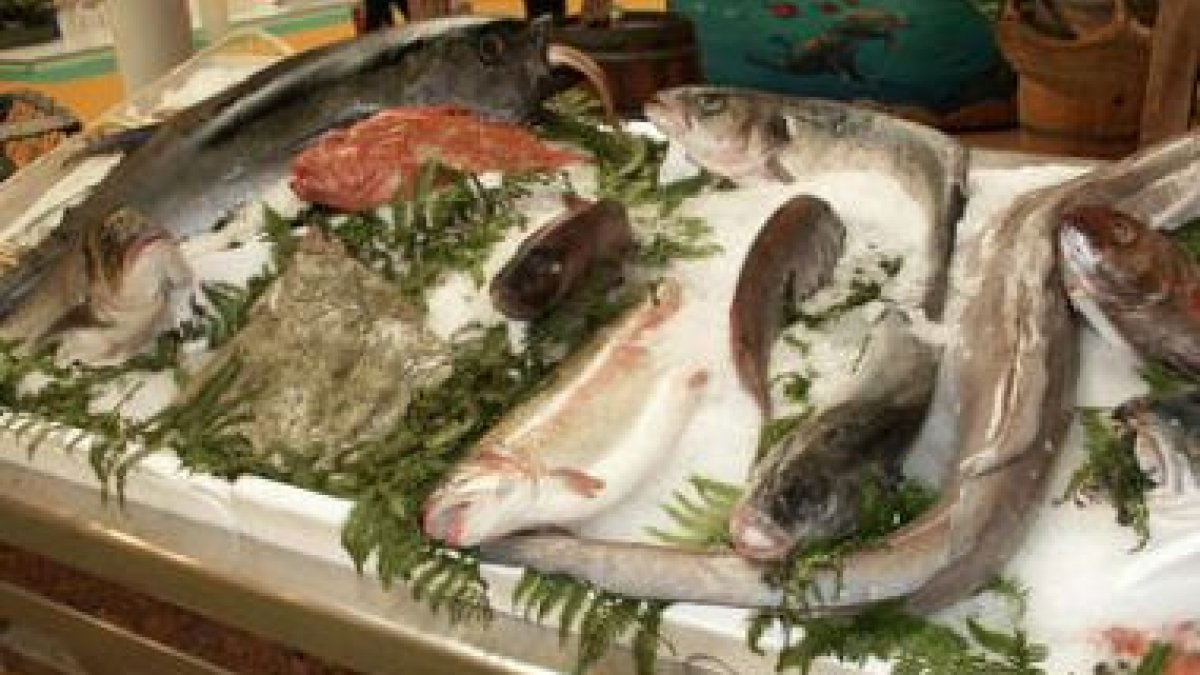 Sólo una mínima parte de los espacios protegidos tienen un carácter marino
