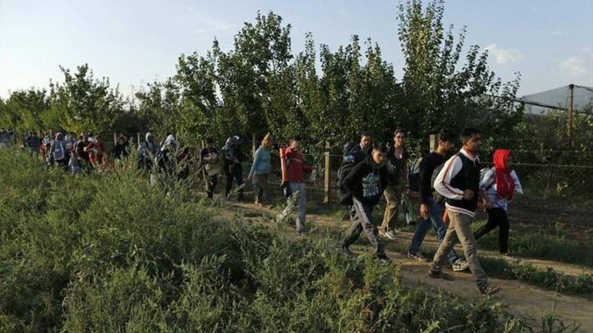 Un grupo de refugiados camina en los alrededores de Sid, cerca de la frontera con Croacia.