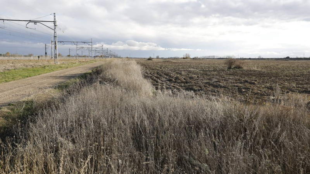 Terrenos en los que se dibuja la ejecución de la plataforma logística intermodal de Torneros. MARCIANO PÉREZ