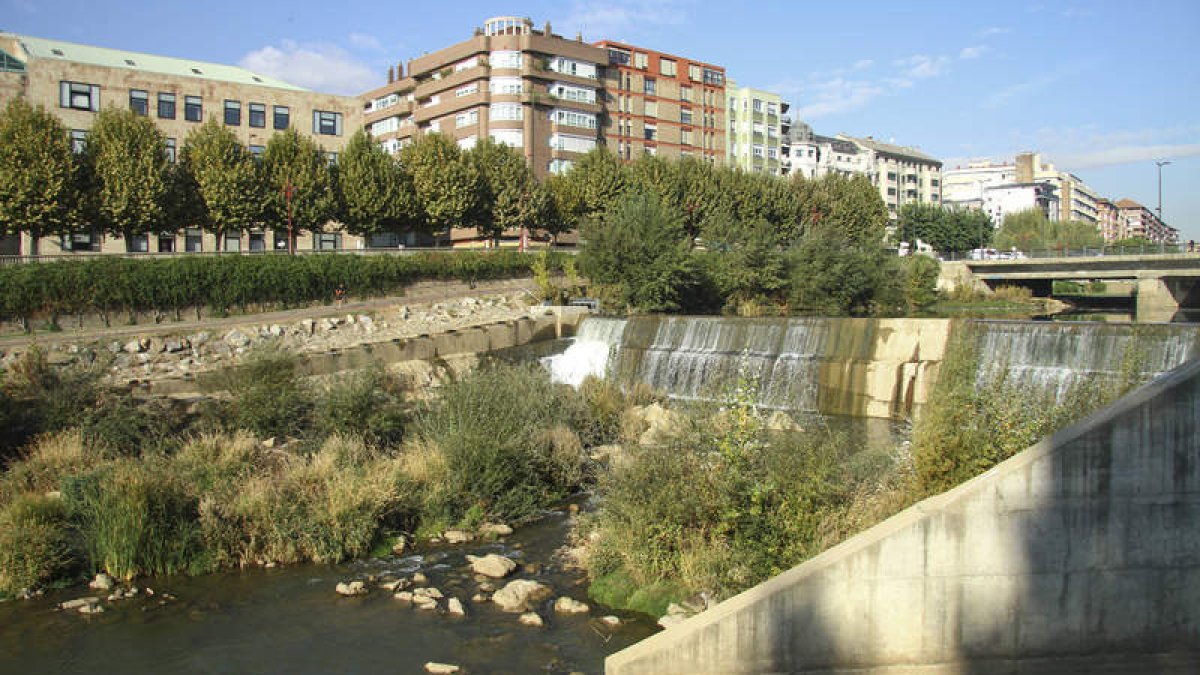 Estado actual del río Bernesga a su paso por la avenida Ingeniero Sáenz de Miera, donde el cauce apenas es visible debido a la vegetación existente.