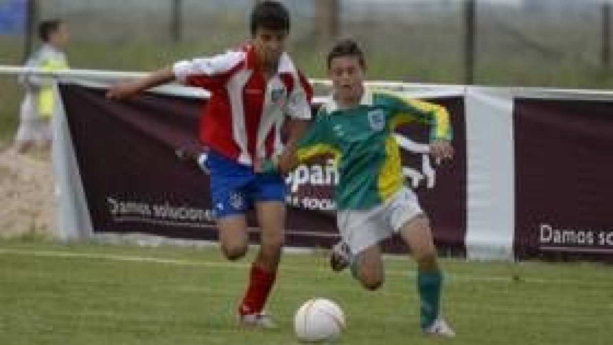 JAVIER