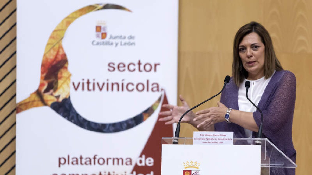 La consejera de Agricultura y Ganadería y portavoz de la Junta, Milagros Marcos. RAÚL SANCHIDRIÁN