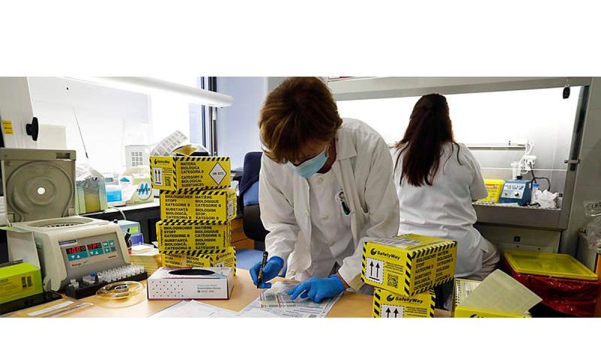 La cifra de trabajadores activos se desploma en la provincia. DL