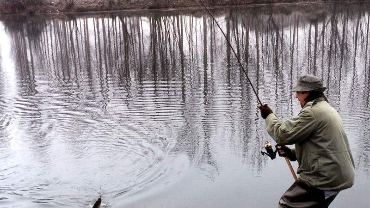La pesca de lucio es muy común en los cursos bajos del Esla y del Órbigo.