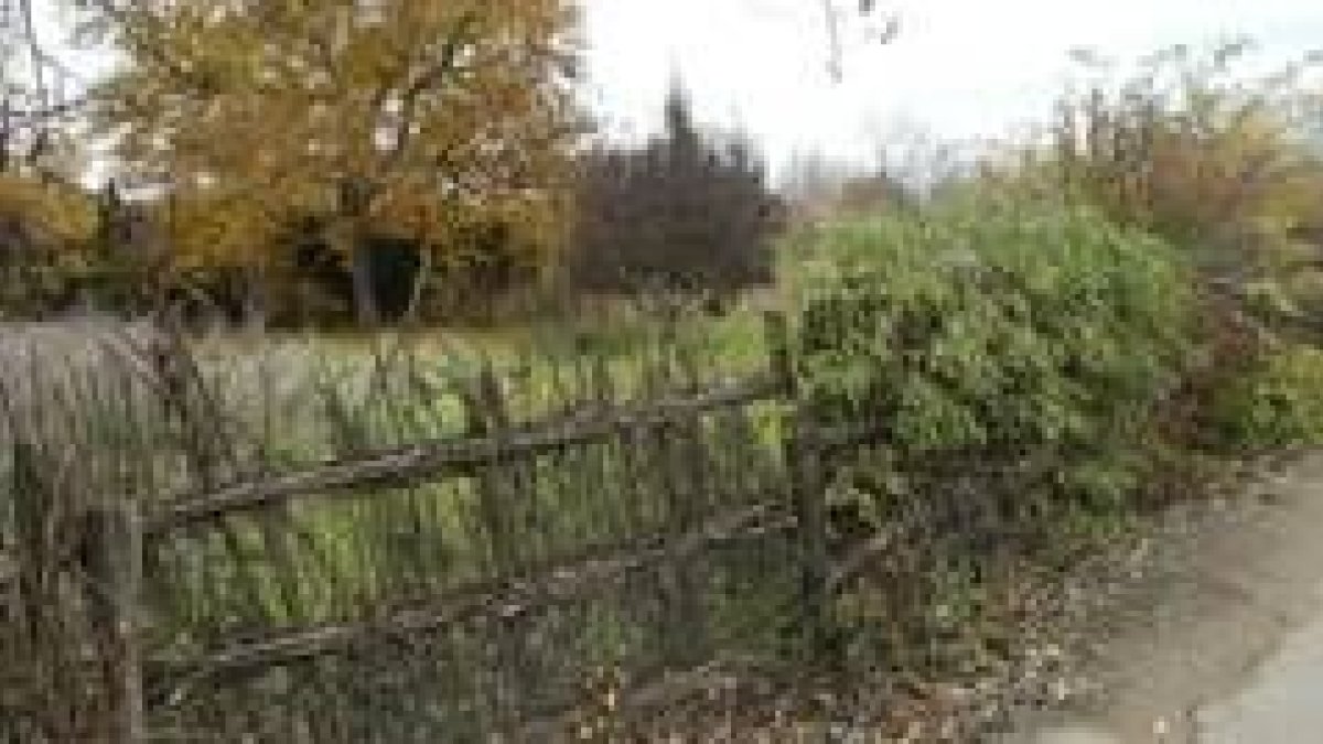 Detalle de una huerta cercada con una sebe en la ribera del Torío, cerca de la capital leonesa