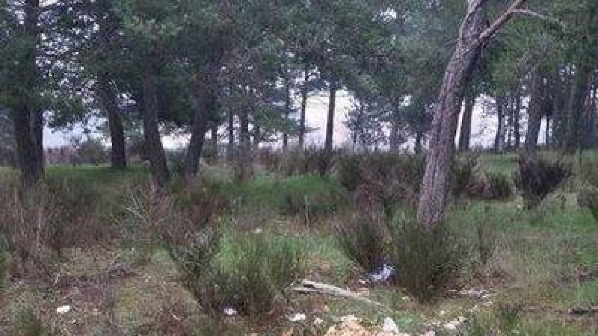 Basura acumulada en La Candamia y que la Junta quiere limpiar gratis con una hacendera