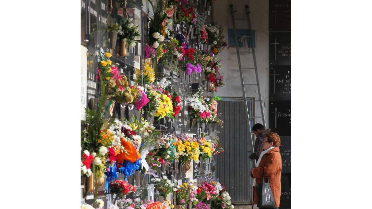 Serfunle está obligada a prestar el servicio de cementerio.