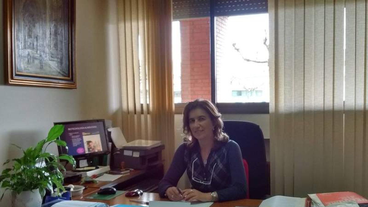 Teresa Mería López, en su despacho de la Universidad de León. DL