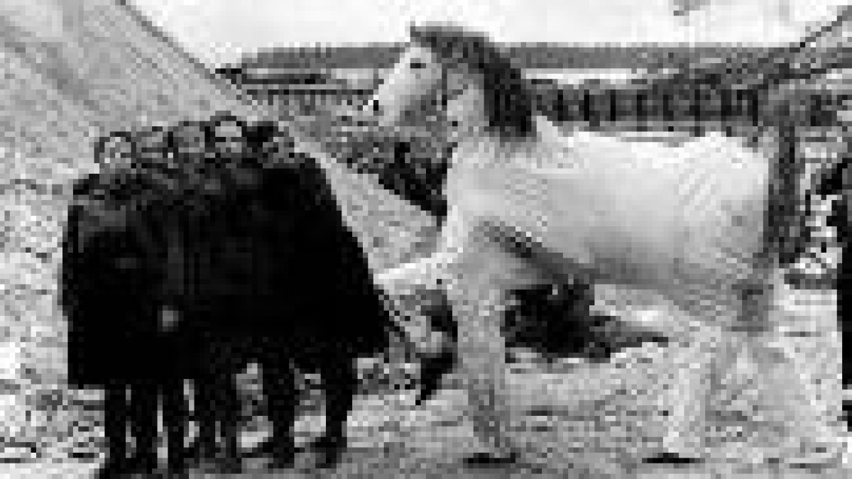 Evgenia Ginzburg fue expulsada del Partido Comunista soviético en 1937