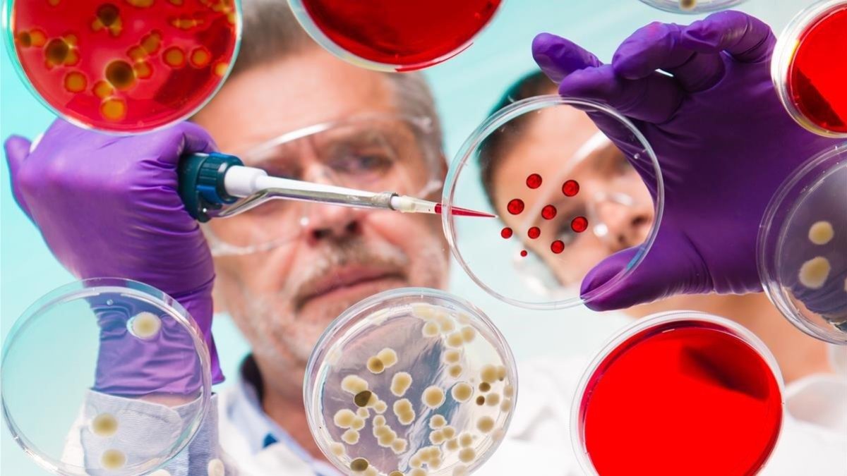 Los expertos apuntan a que en los últimos años habríamos perdido una cantidad asombrosa de diversidad microbiana