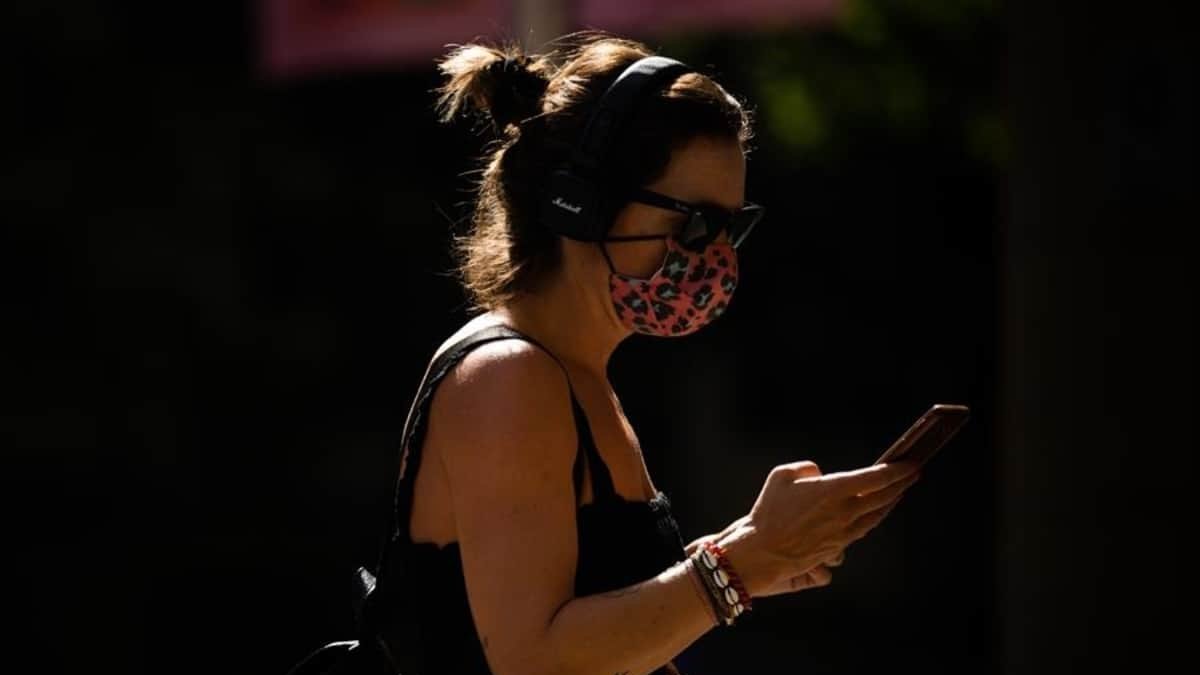 REBROTES en ESPAÑA: Estos son los focos activos con mayor impacto
