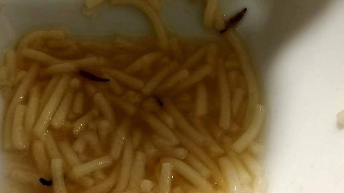 Gusanos en la comida del Hospital de León. DL