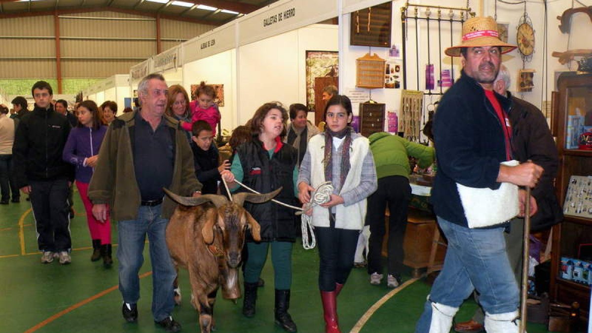 La Feria de Vegacervera comenzó ayer con la tradicional procesión del chivo.