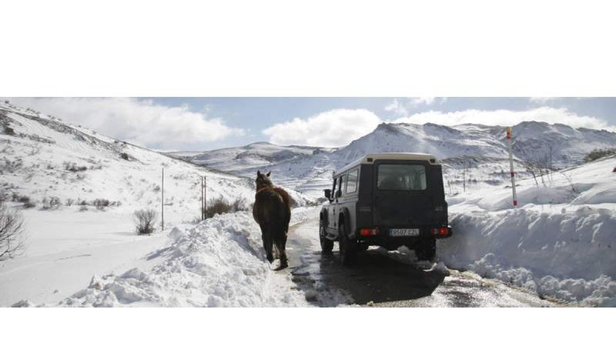 Un todoterreno transita junto a un caballo en la carretera de Casares de Arbas. f. otero perandones