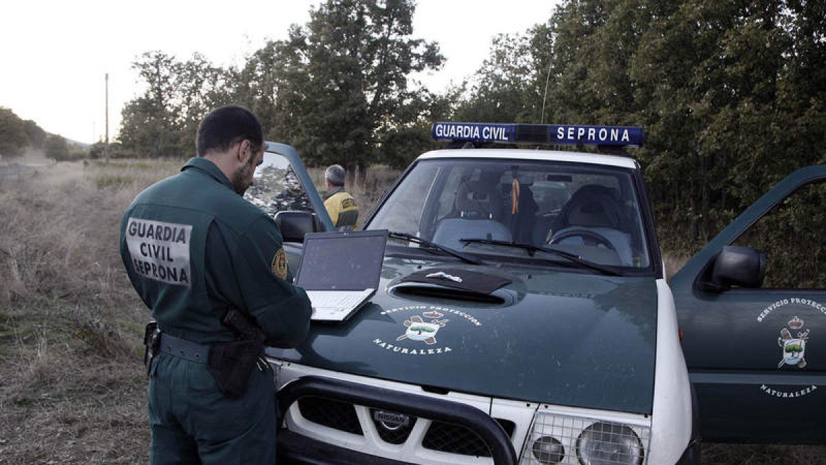 Agentes del Seprona en un acción de protección del medio ambiente. DAVID ARRANZ