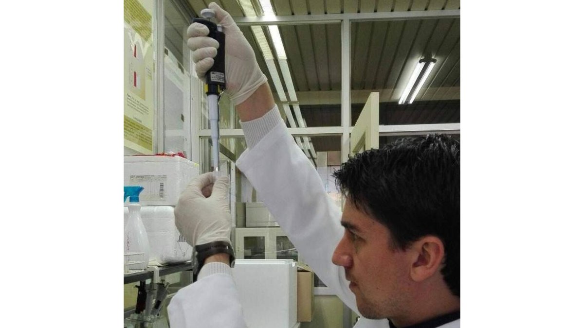 Osvaldo Costa Moreira.