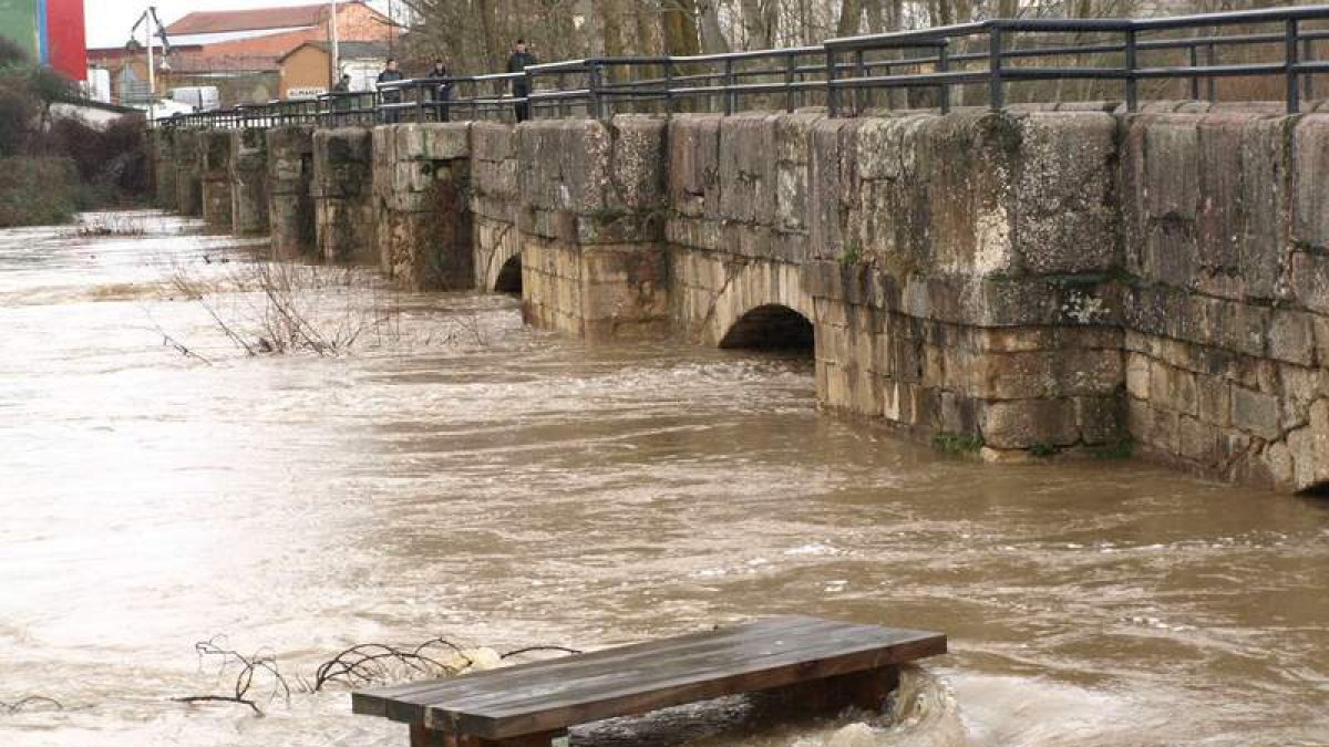 El río Cea anegó huertas y el merendero situado junto al puente de Almanza.
