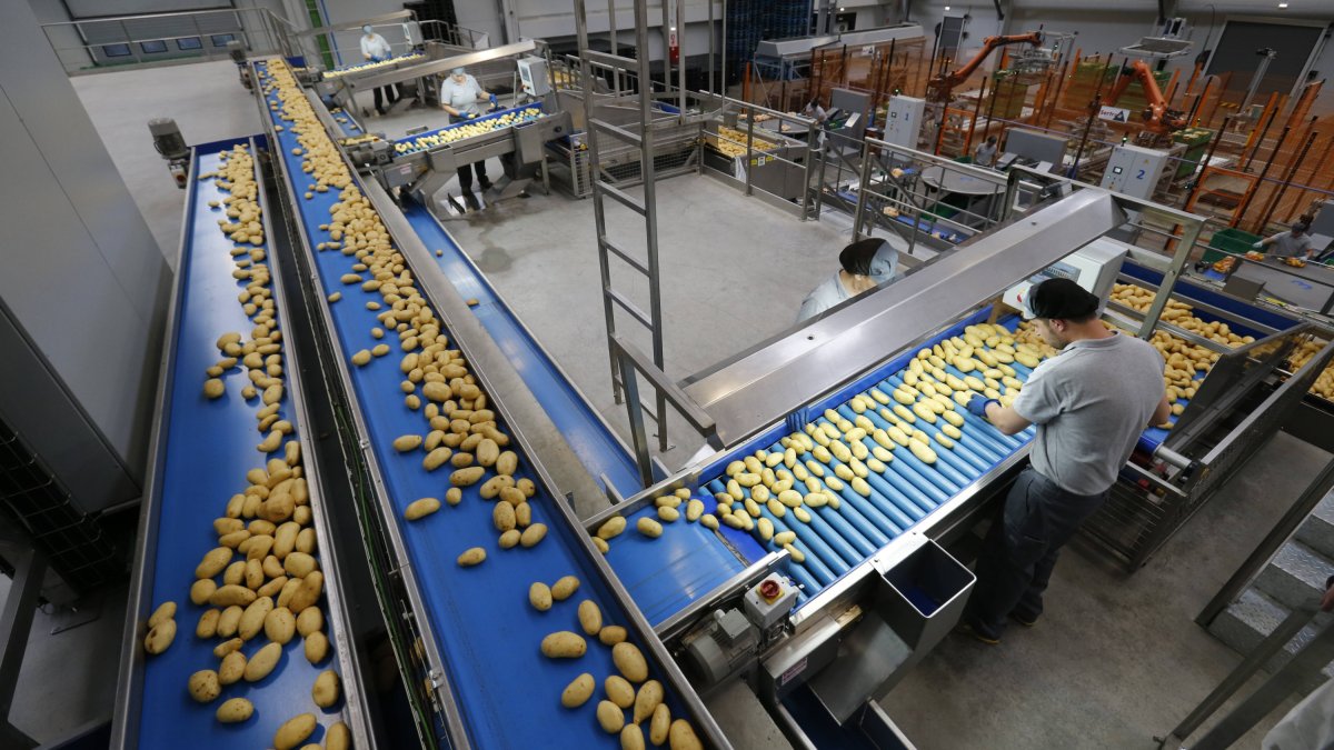 Instalaciones de la empresa Hijolusa. RAMIRO