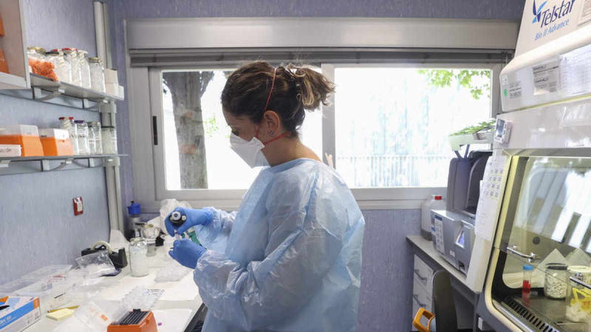 Investigadores del Instituto de Salud Carlos III. KIKO HUESCA