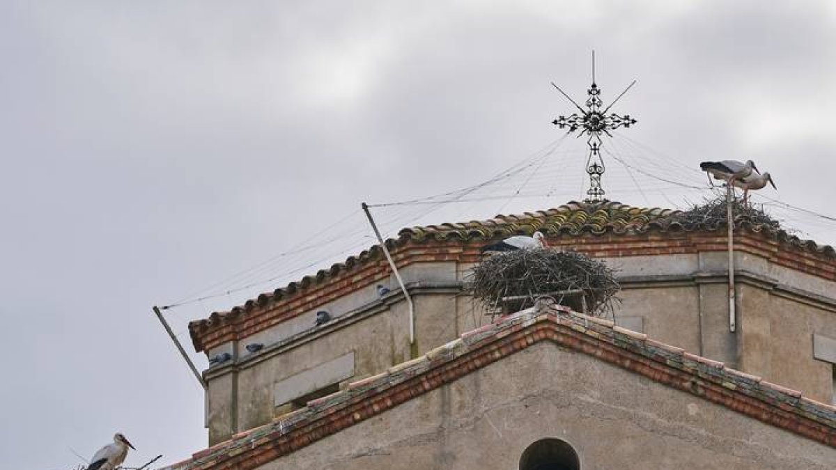 El Departamento de Acción Climática y los Agentes Rurales han intensificado la vigilancia de la gripe aviar tras los nuevos casos. RAMÓN GABRIEL