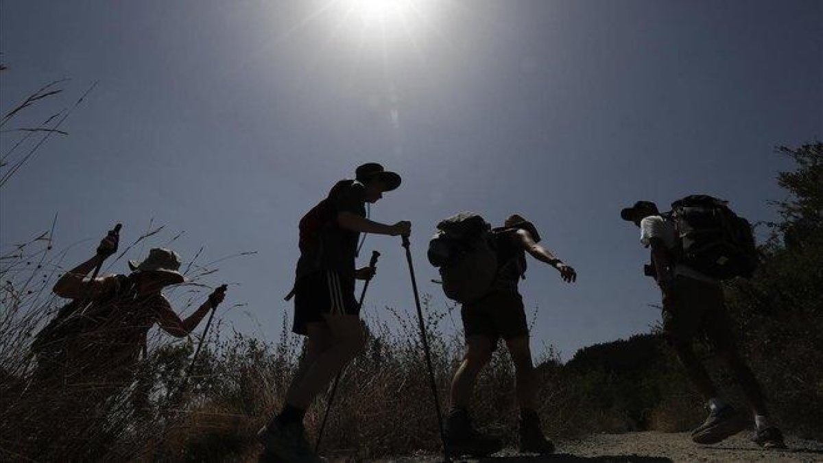 Un grupo de peregrinos, durante una etapa del Camino de Santiago.