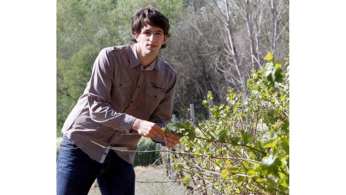 Guzmán Carro Huergaen la Escuela de Agrónomos.