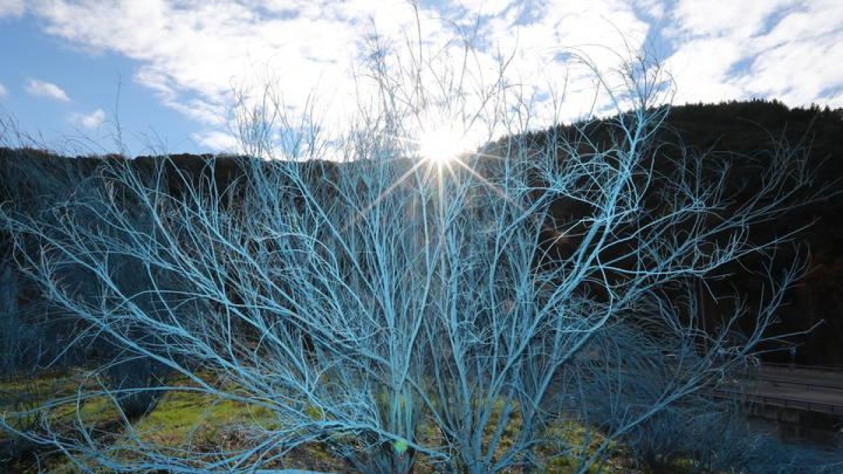 Ponferrada ha batido un récord de temperatura máxima en el mes de febrero