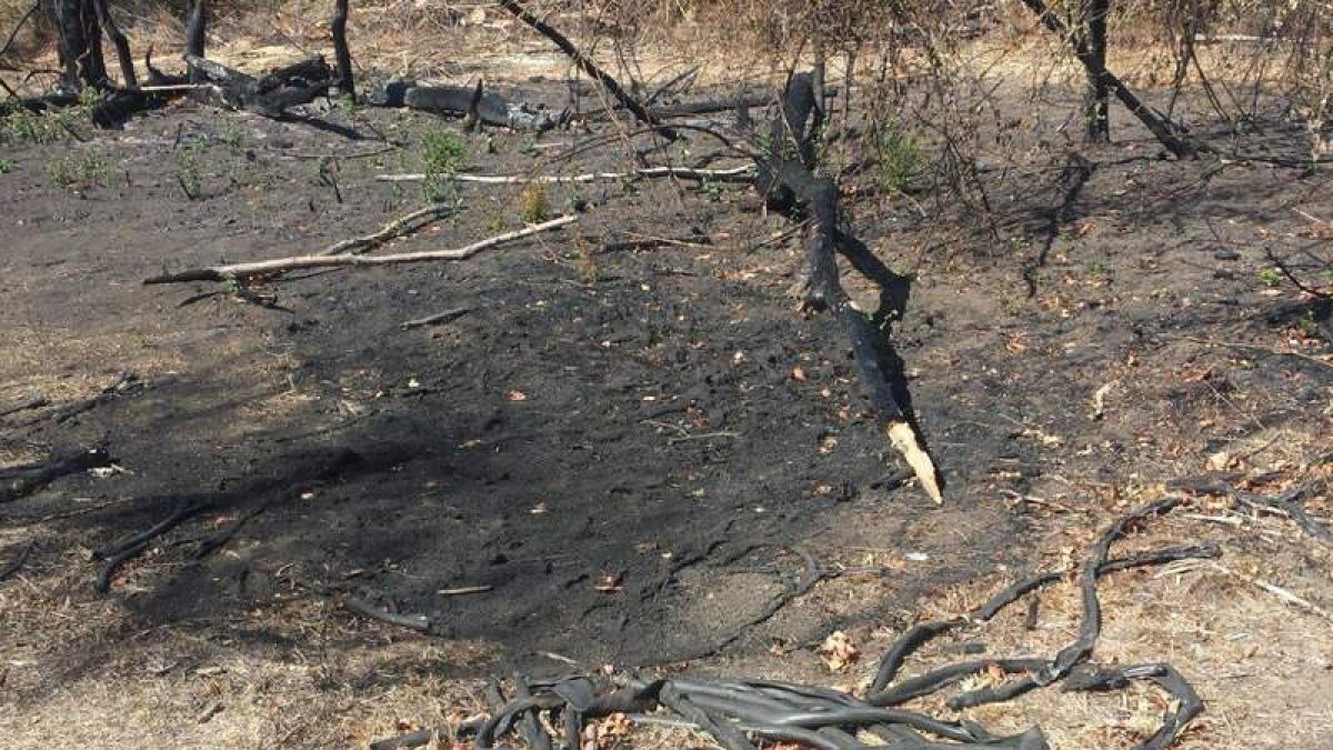 Basuras quemadas que contaminan el entorno de la laguna. DL