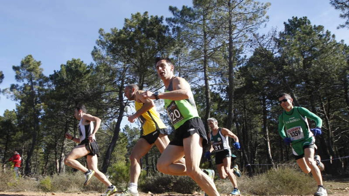 La cuarta entrega de la Liga celebrada en el pinar de Castrocontrigo reunió a 130 atletas.