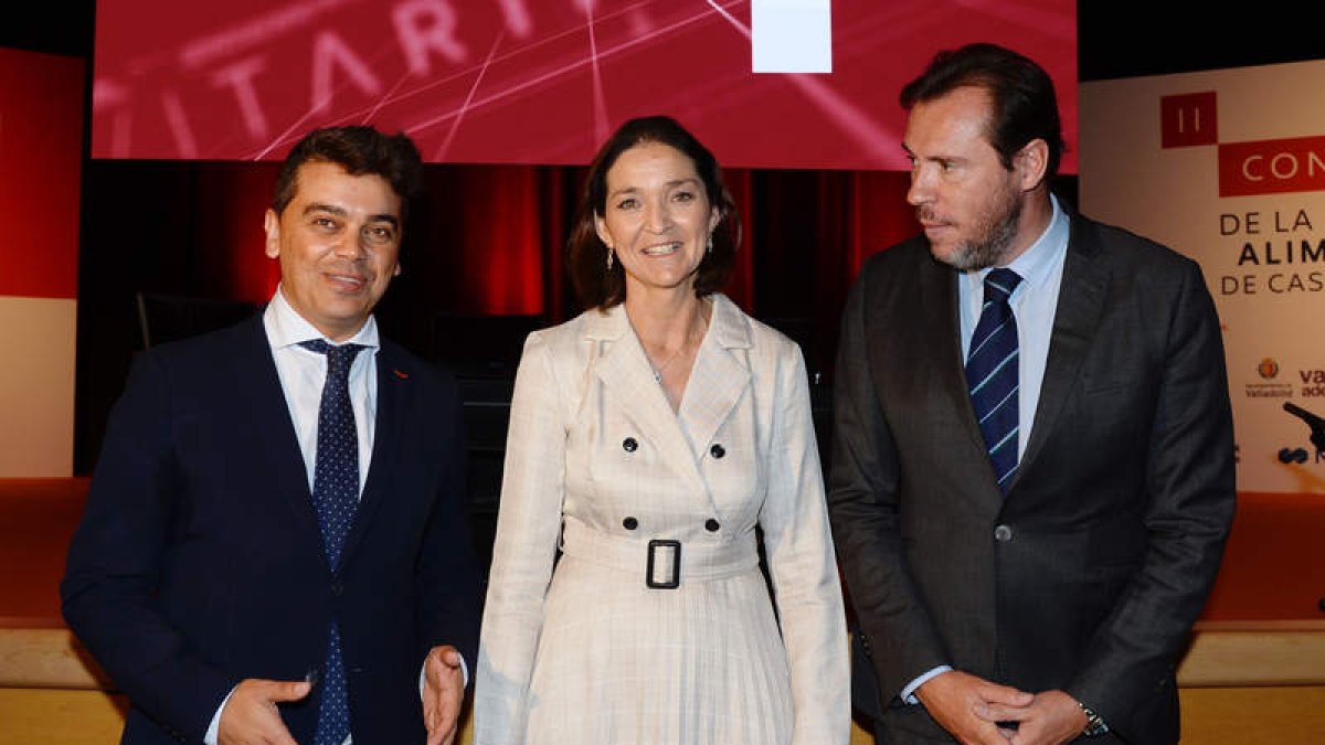 La ministra de Industria, Reyes Maroto, en el Congreso. NACHO GALLEGO