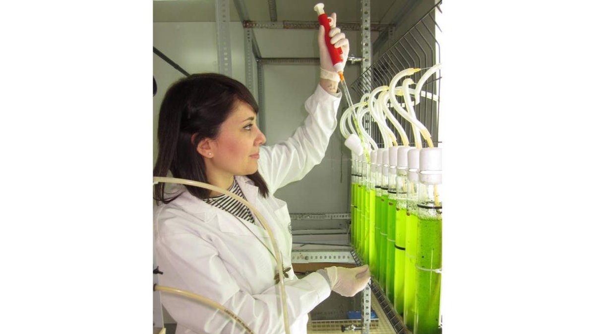Carla Escapa Santos en el laboratorio de cultivo de microalgas.