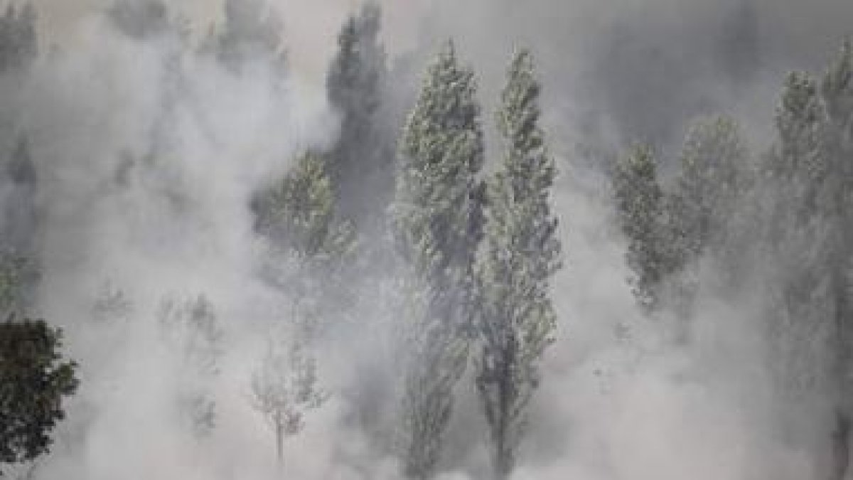 Una imagen del incendio forestal registrado en Quintanilla del Monte el pasado miércoles.