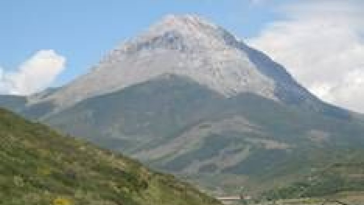 En Valverde de la Sierra se verá la repoblación de pino silvestre