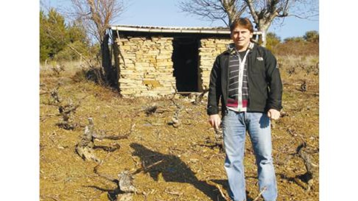 Grégory Pérez en una de las viñas de Espanillo, que ha convertido en referencia de calidad.