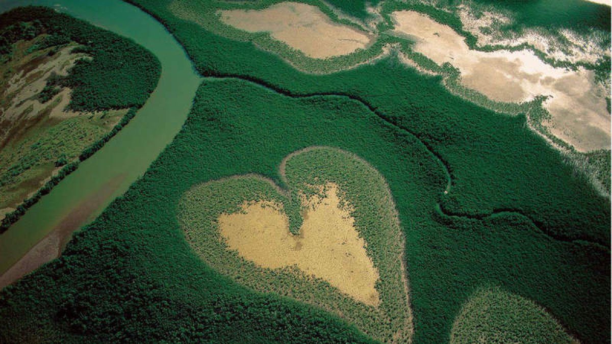 Espectacular imagen aérea de un manglar de Nueva Caledonia con forma de corazón, foto que se expondrá en León.
