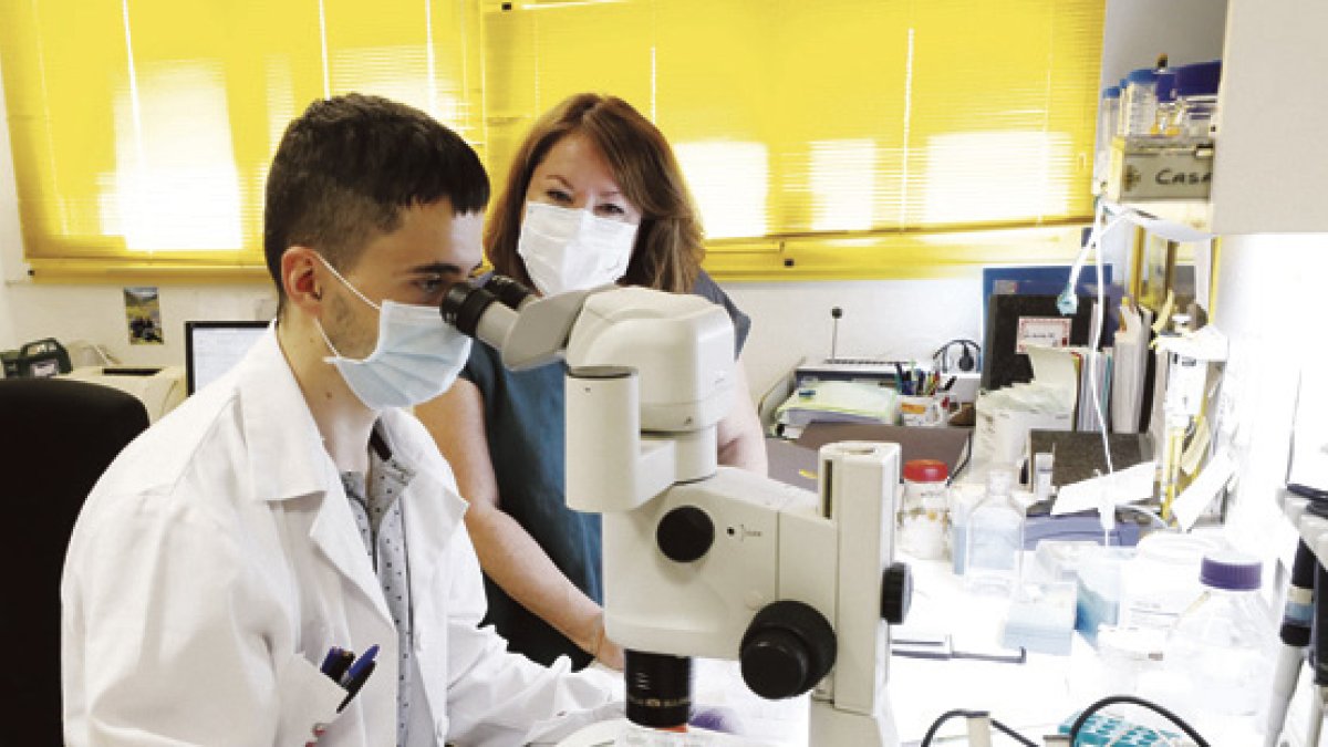 DA-LEYUNIVER-F2-17-07-22-2