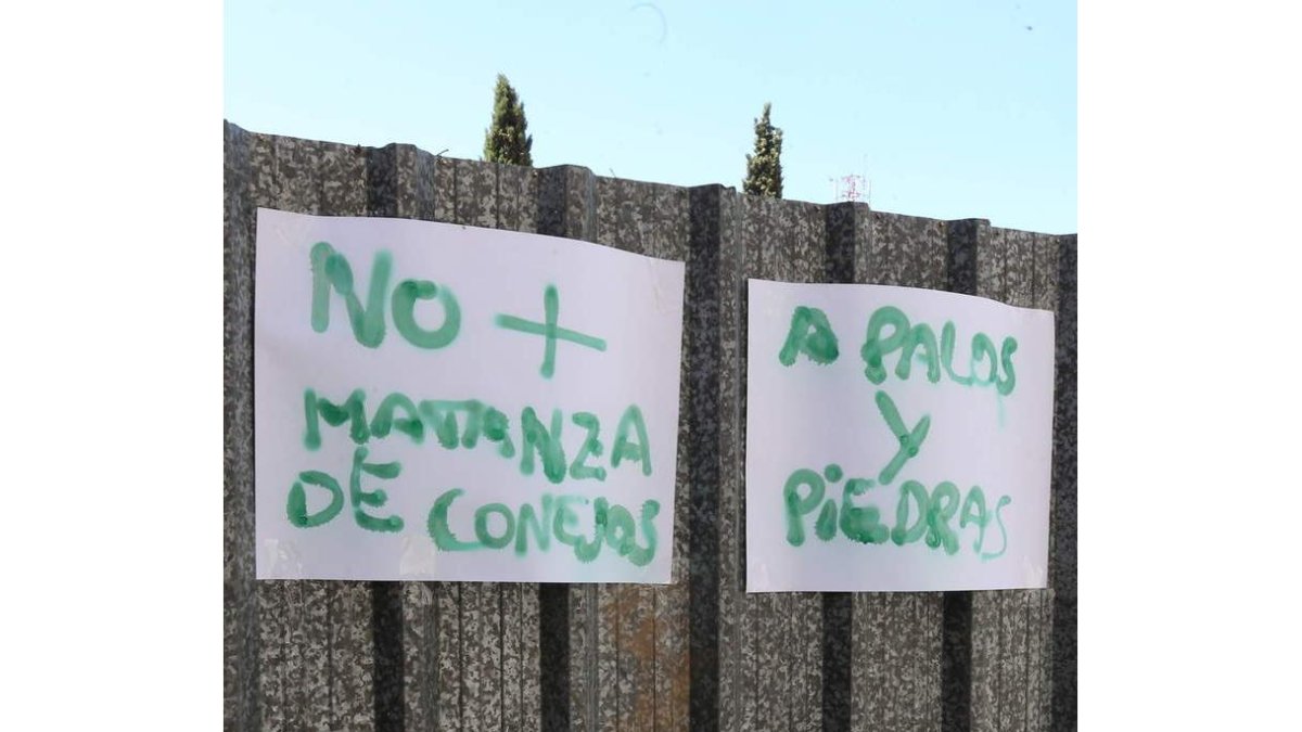 Pintadas en el solar.