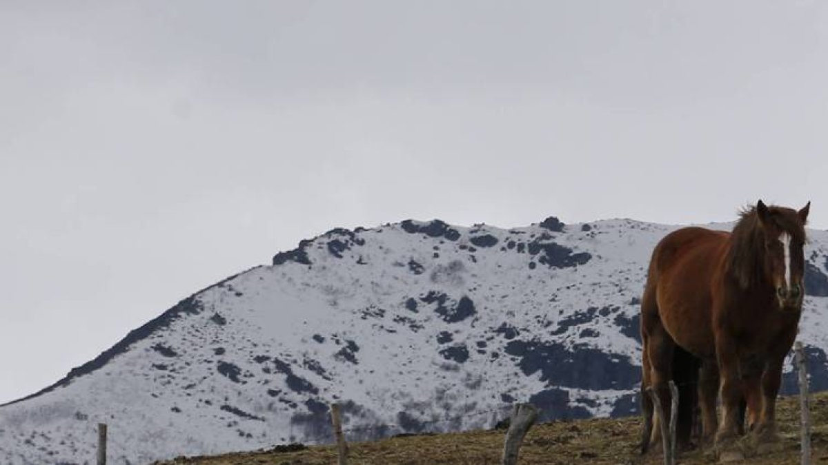Nieve en Babia