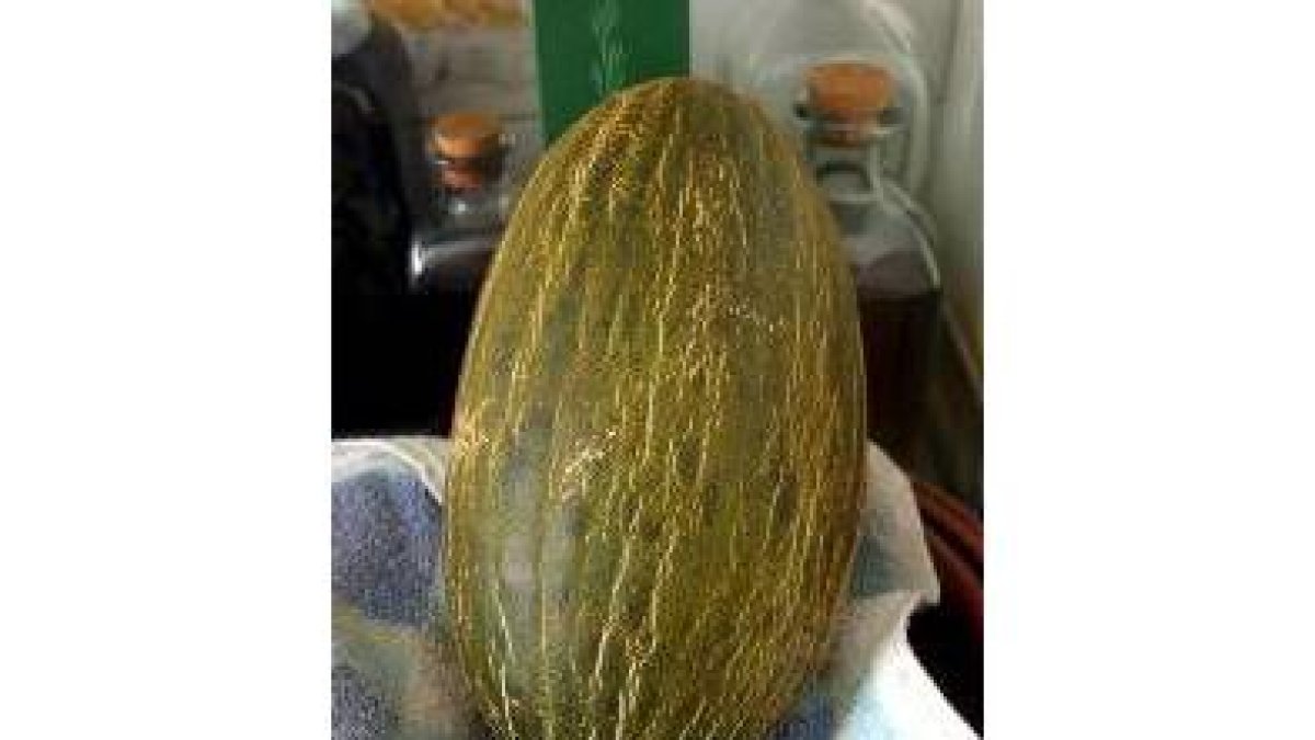 La ciencia contradice al refrán sobre los melones