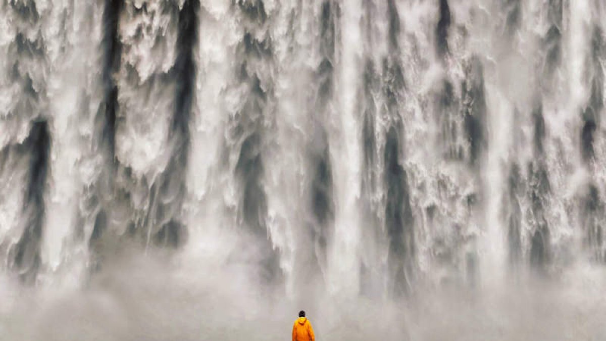 Fotográma del documental que hoy presenta su autor en León. PÁJARO FILMS