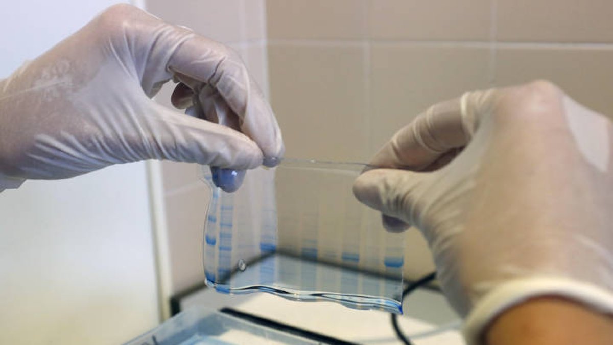 Proyectos con microorganismos en Inbiotec. F. OTERO PERANDONES
