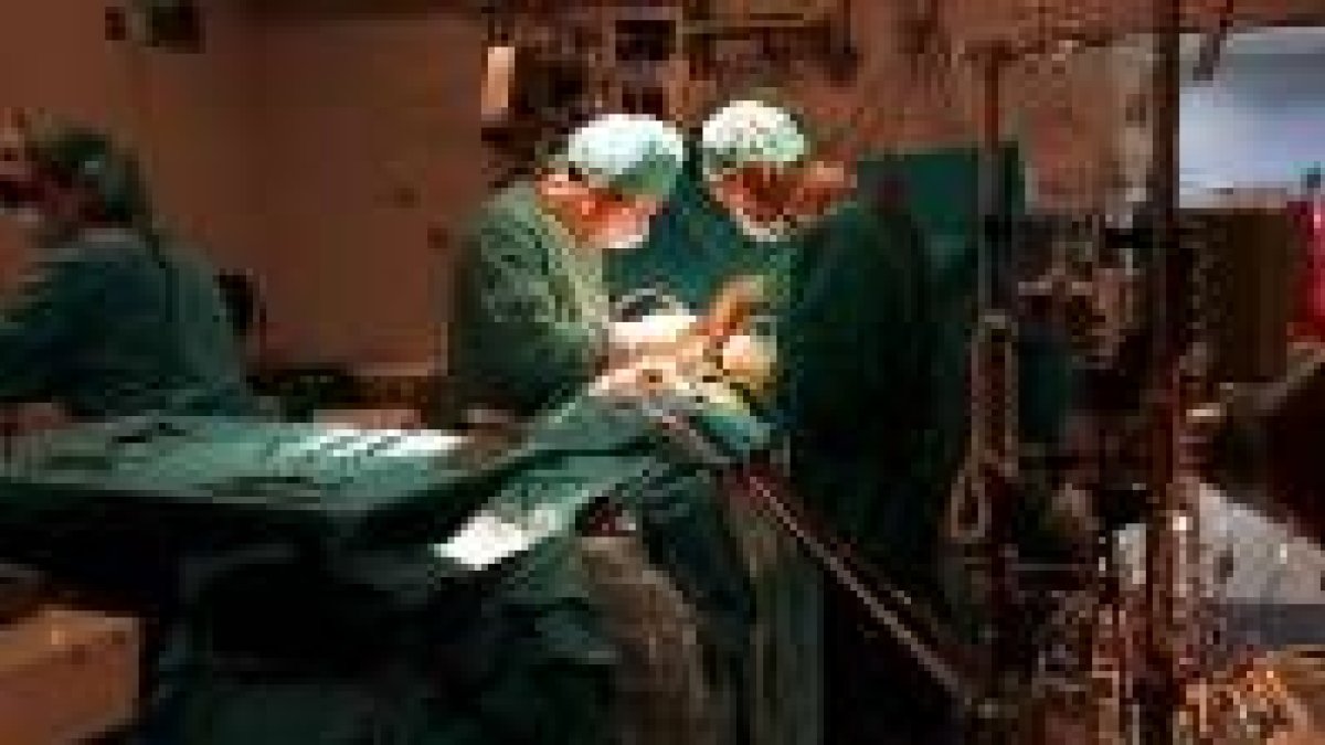 En León se han registrado en el último año cerca de 20 agresiones físicas a profesionales médicos