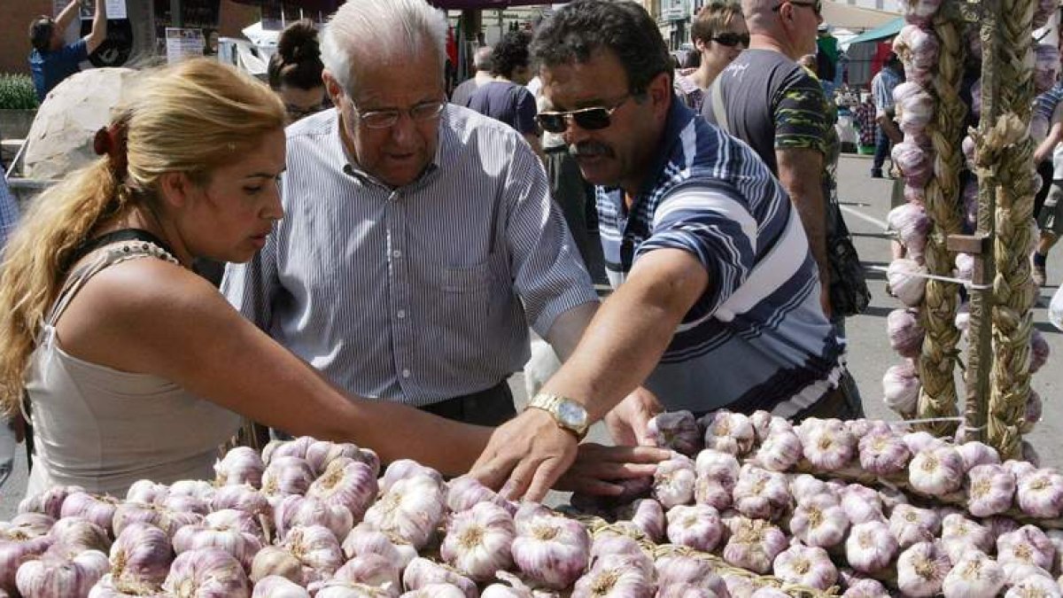 Los clientes seleccionan las mejores ristras, con más de 20 cabezas de ajo, para llevárselas a sus casas.