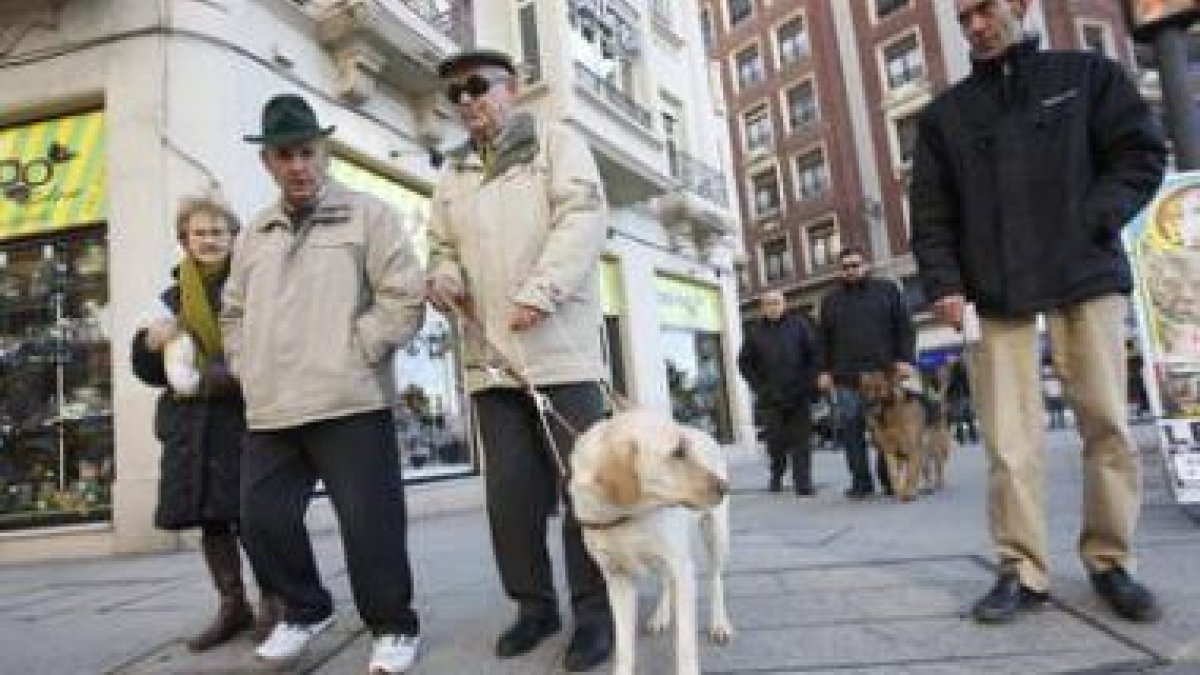 Kalo, el pastor alemán de Alfonso Fidalgo, conduce a su dueño por otro camino alternativo