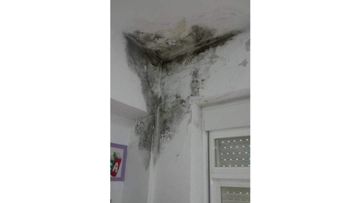 Moho en la sala de profesores.
